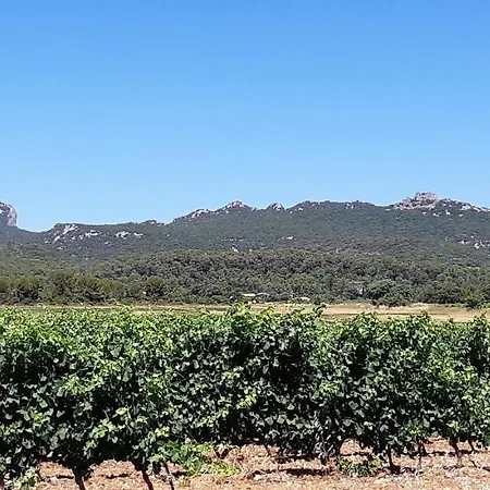Panzió La Cazarelle Saint-Jean-de-Cuculles