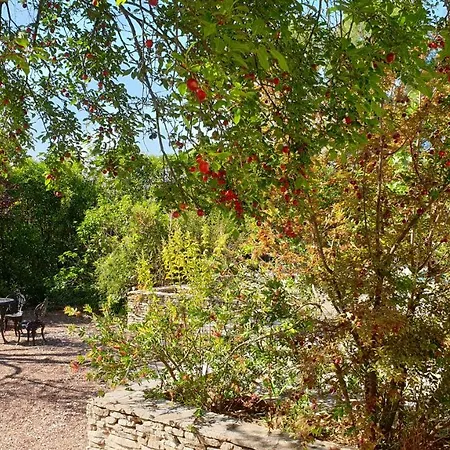 La Cazarelle * Saint-Jean-de-Cuculles